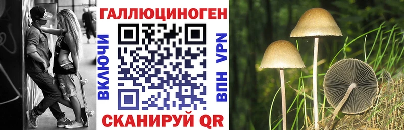 где продают наркотики Рыльск Галлюциногенные грибы ЛСД